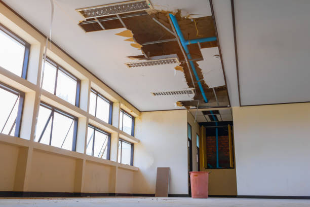 Best Water damage restoration insurance claims  in Harker Heights, TX