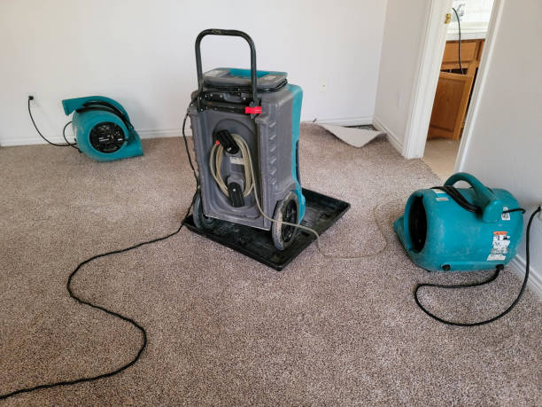 Best Water damage restoration near me  in Harker Heights, TX