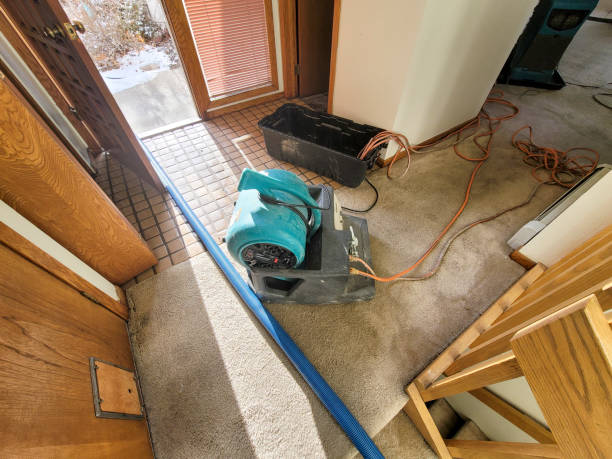 Best Sewage cleanup and water damage restoration  in Harker Heights, TX