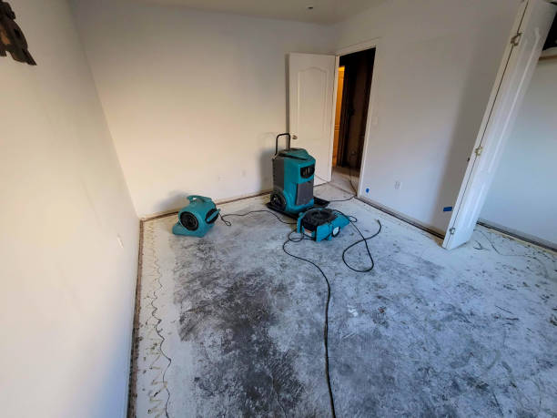 Best Water damage contractors near me  in Harker Heights, TX